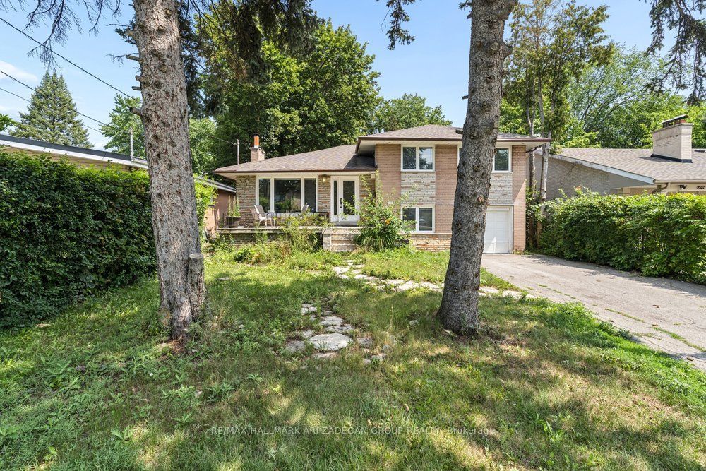231 Goulding Avenue Main Fl, Toronto, ON M2R 2P6 photo 3