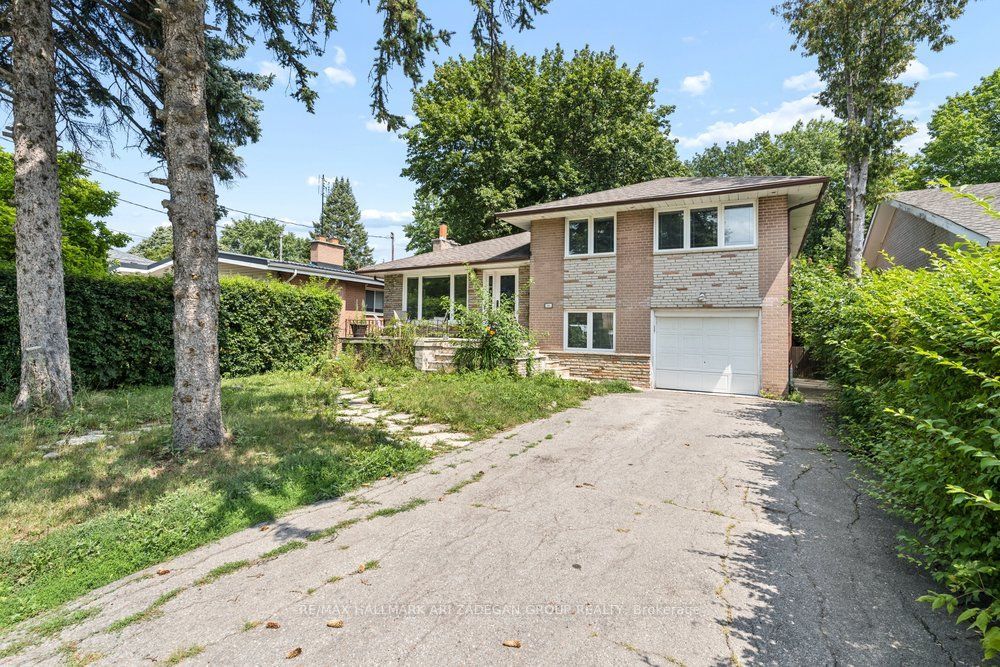 231 Goulding Avenue Main Fl, Toronto, ON M2R 2P6 photo 4