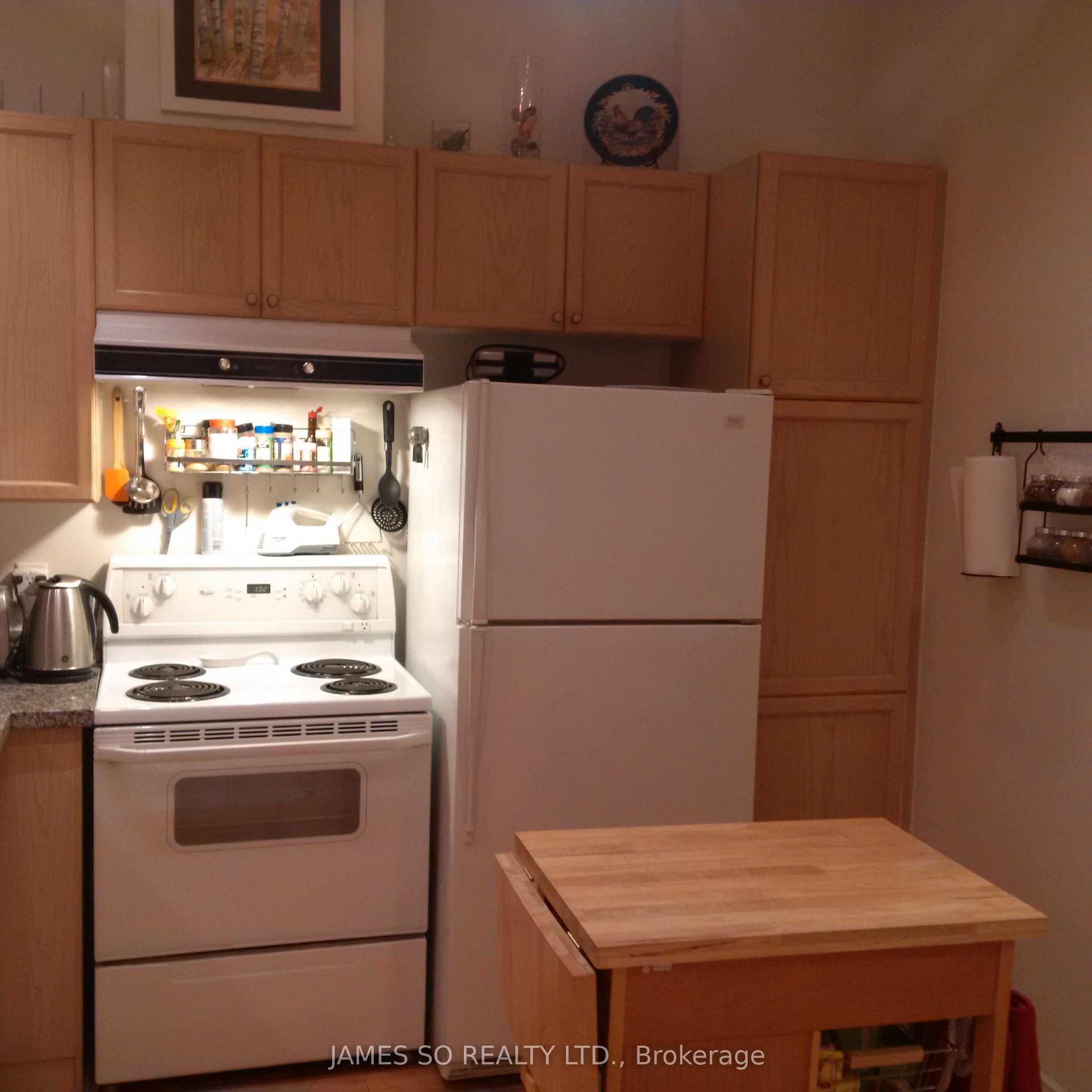 71 Mccaul Street 113, Toronto, ON M5T 2X1 photo 5