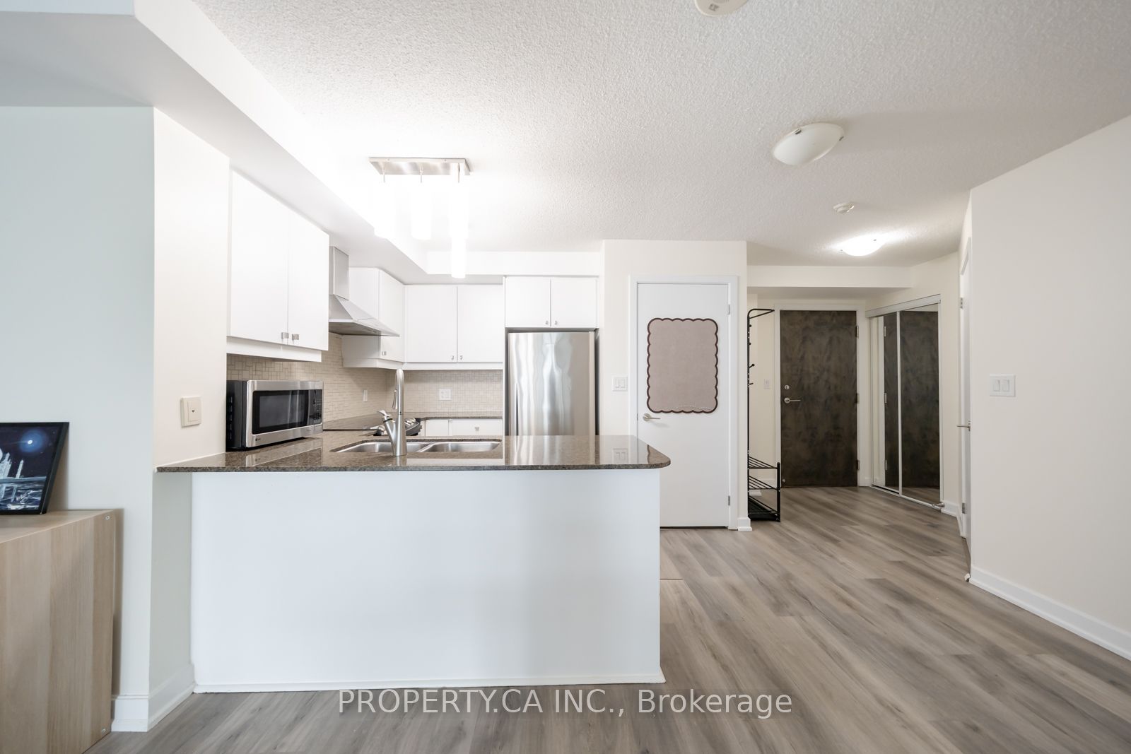 18 Harbour Street 910, Toronto, ON M5J 2Z6 photo 5