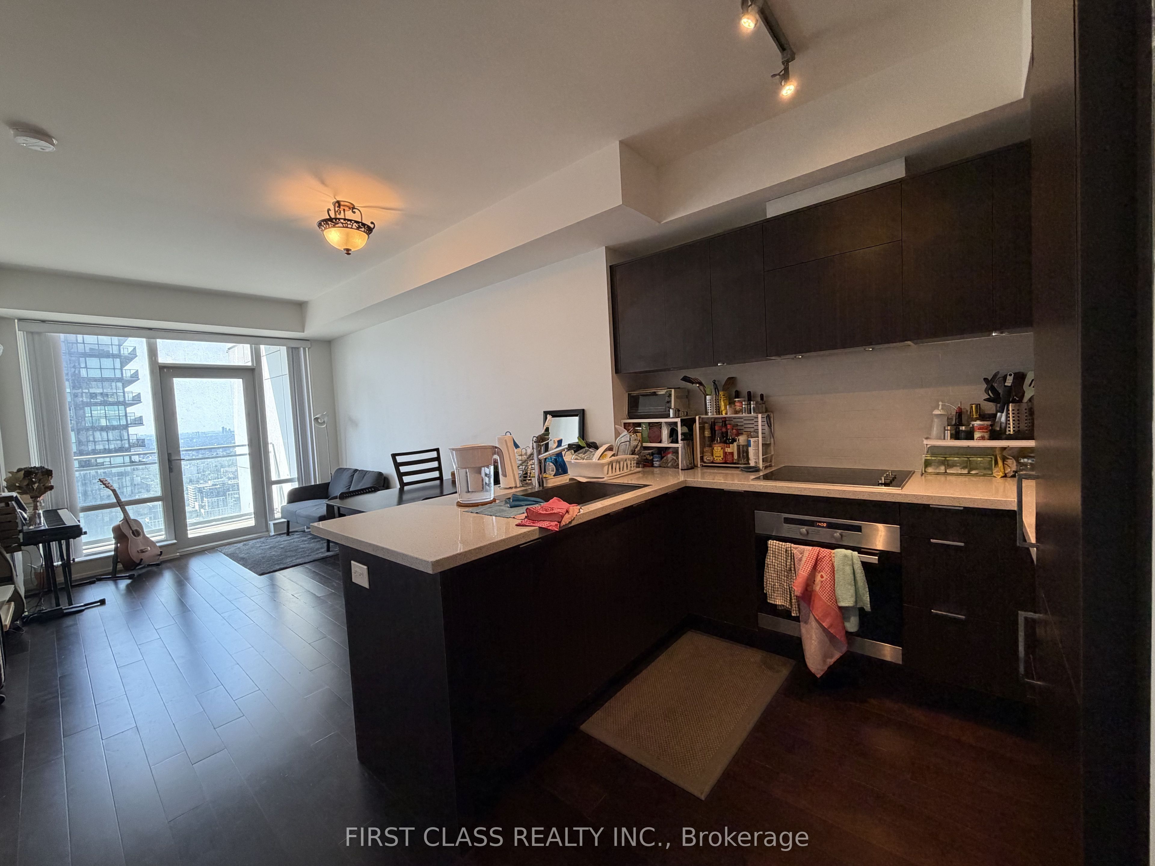 21 Widmer Street 4201, Toronto, ON M5V 0B8 photo 3