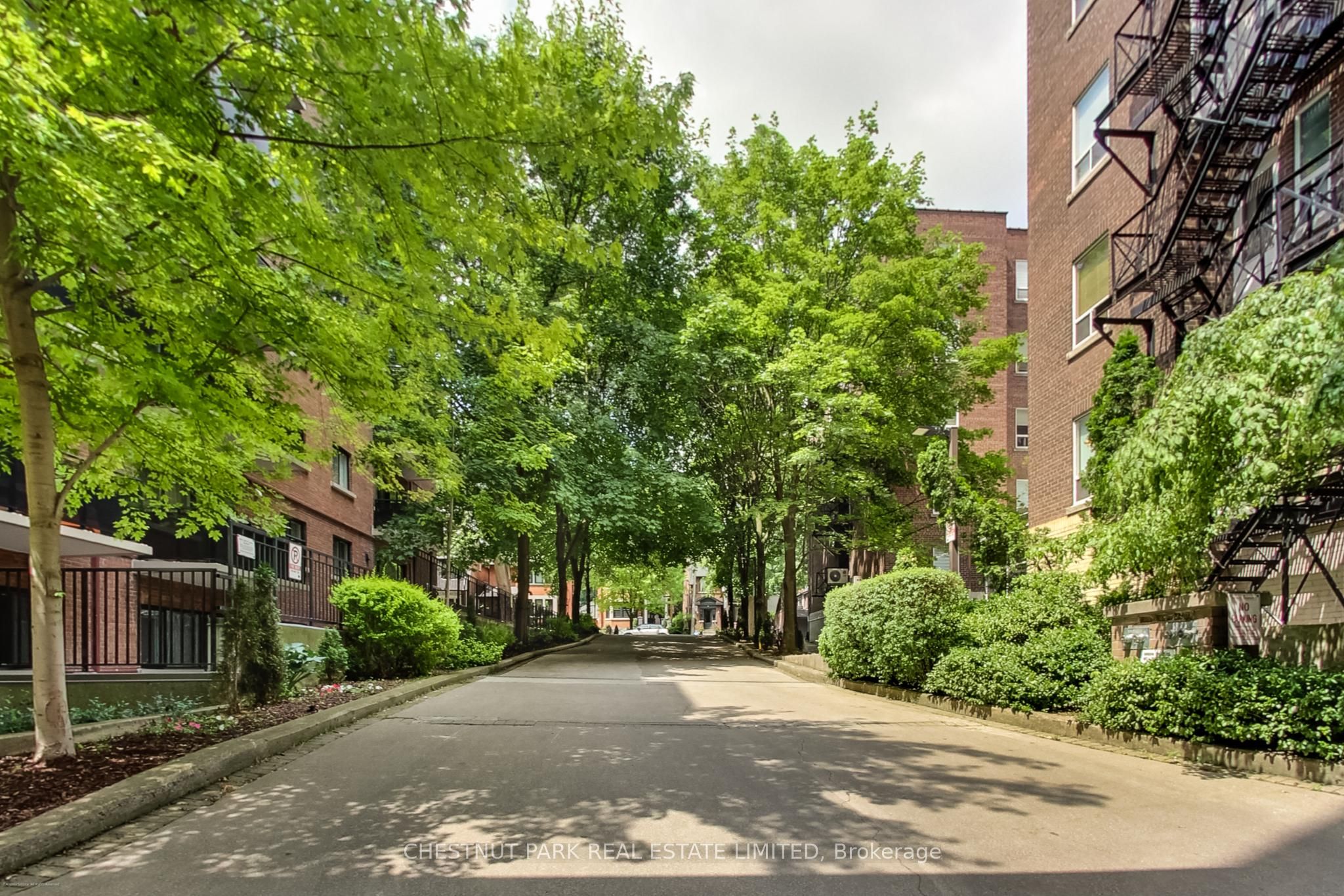 97 Lawton Boulevard 201, Toronto, ON M4V 1Z6 photo 3