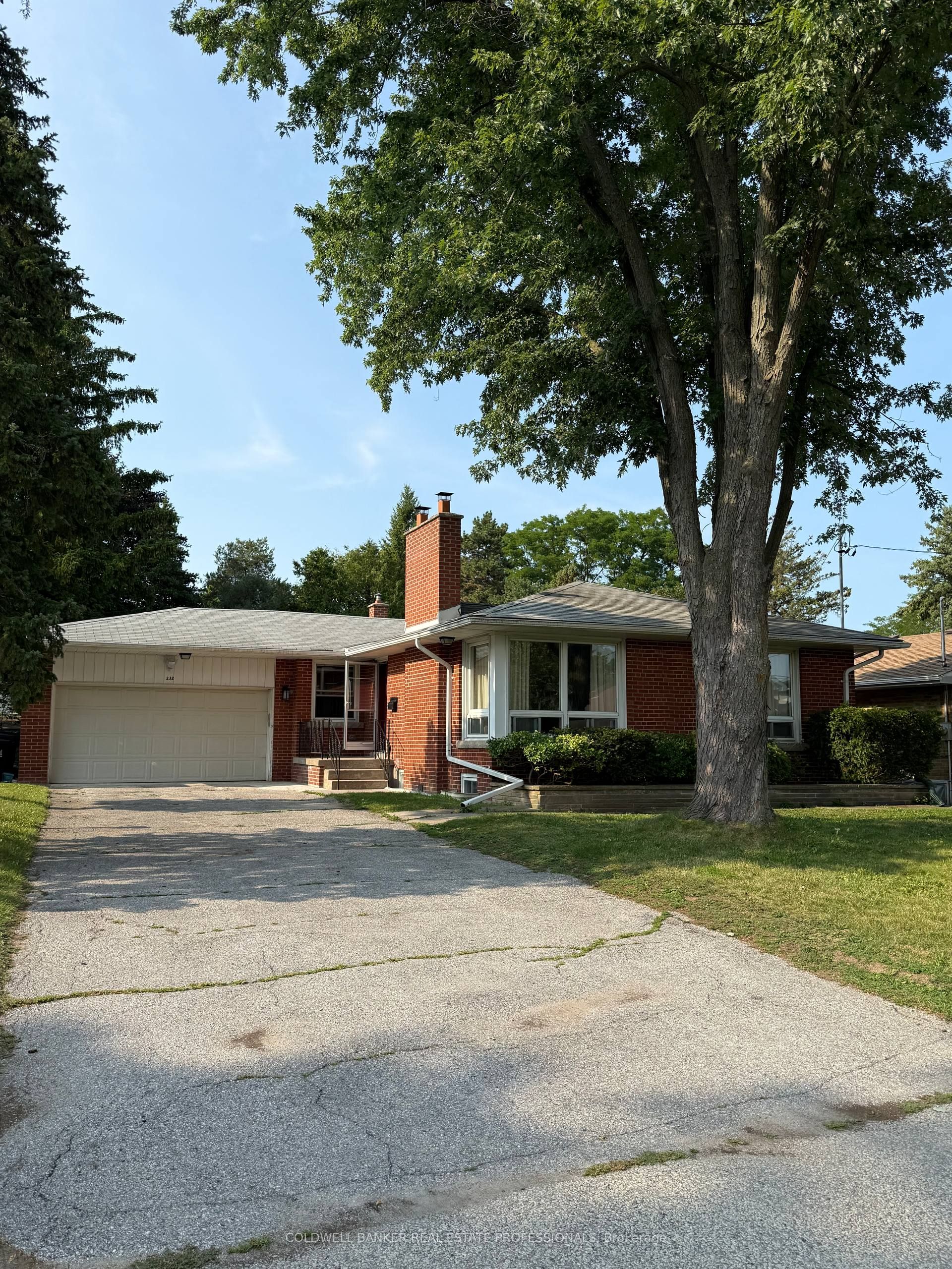 232 Newton Drive Basement A, Toronto, ON M2M 2P3