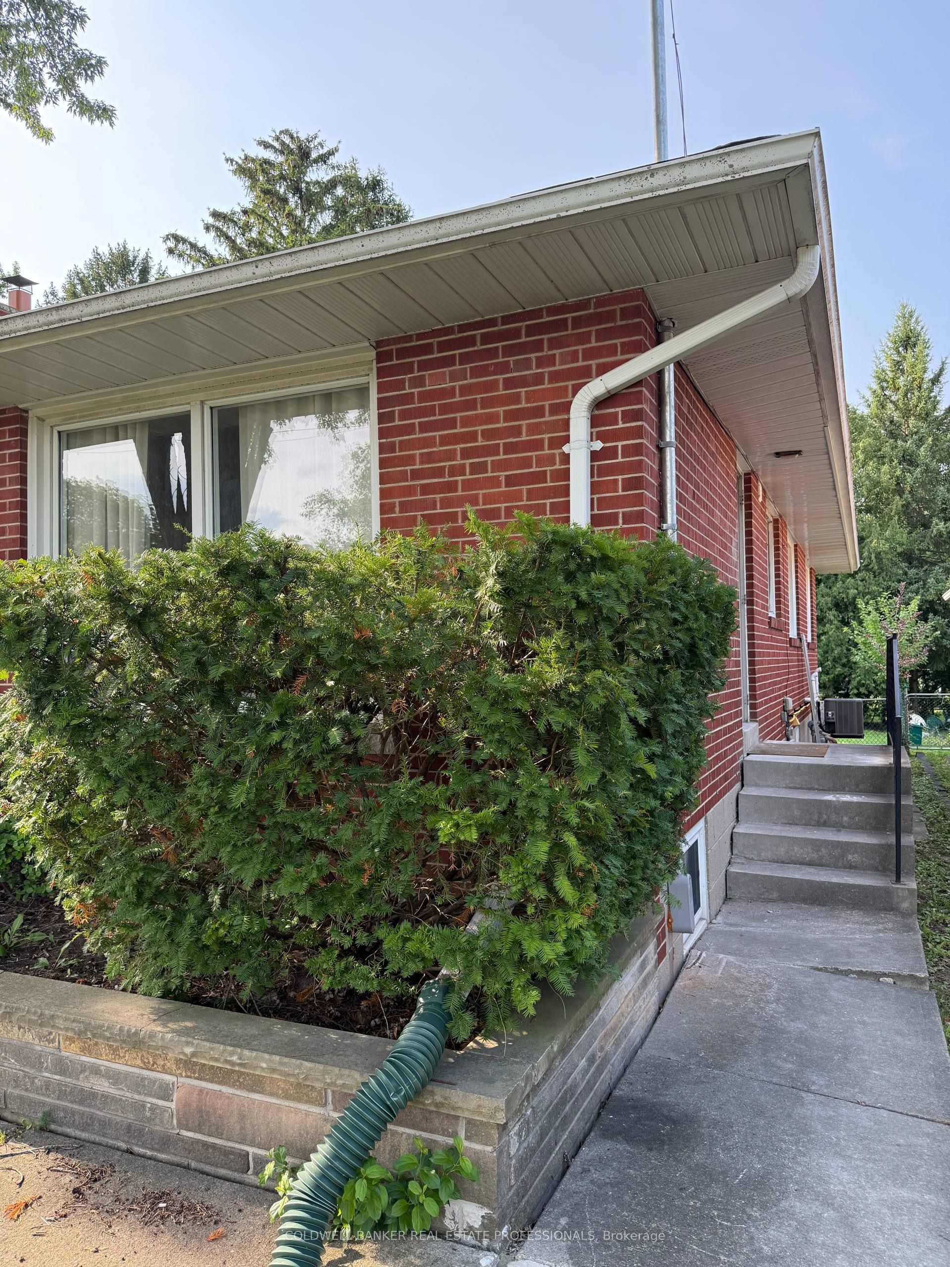 232 Newton Drive Basement A, Toronto, ON M2M 2P3 photo 2