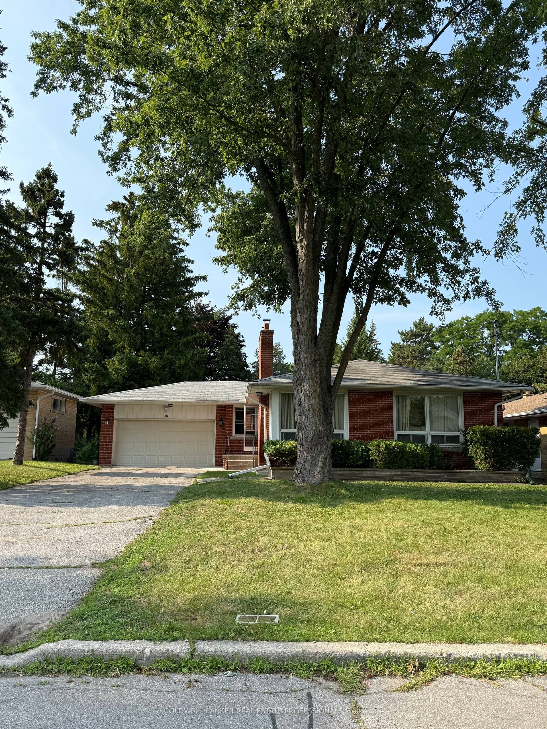 232 Newton Drive Basement B, Toronto, ON M2M 2P3