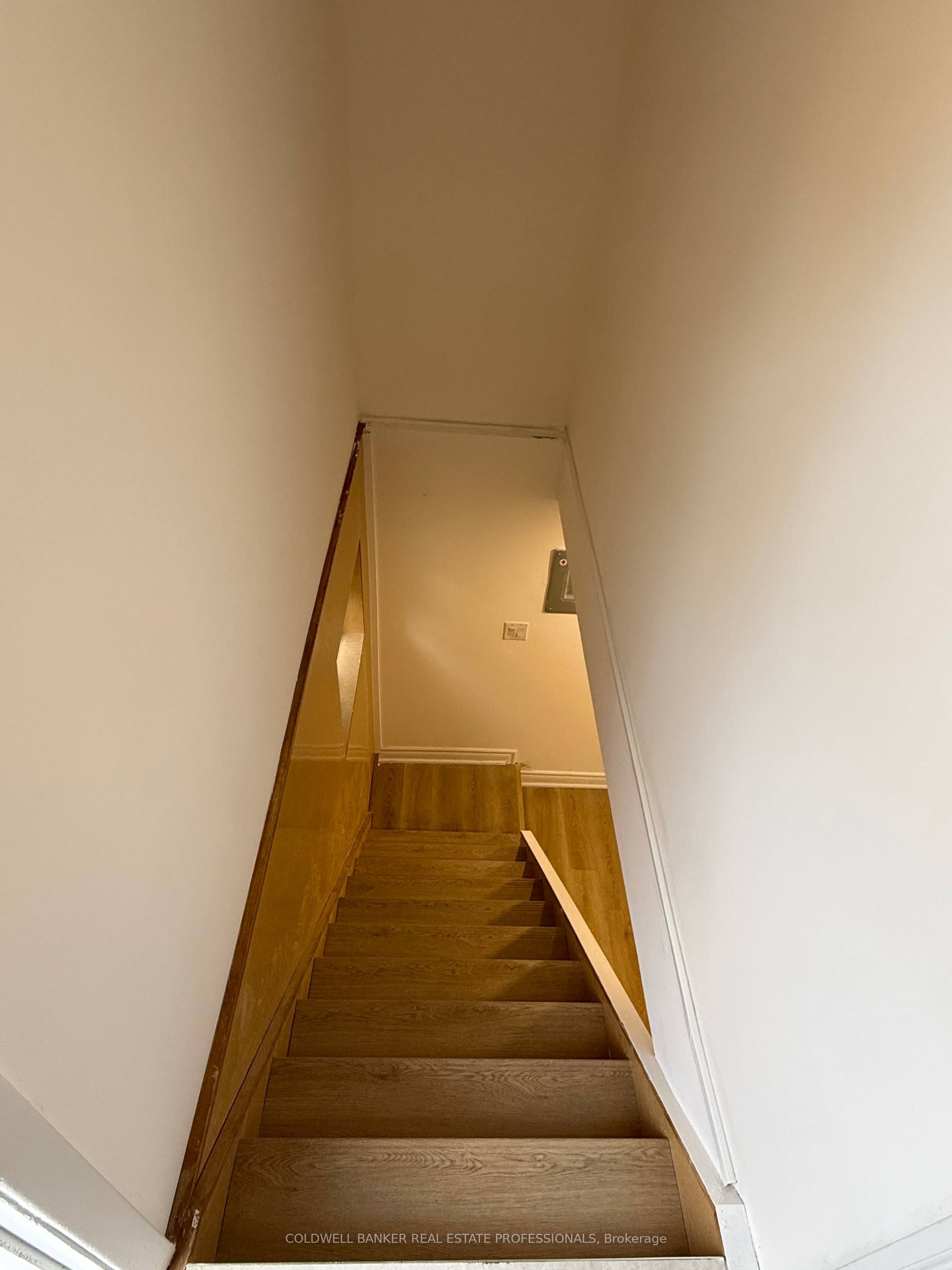 232 Newton Drive Basement B, Toronto, ON M2M 2P3 photo 3