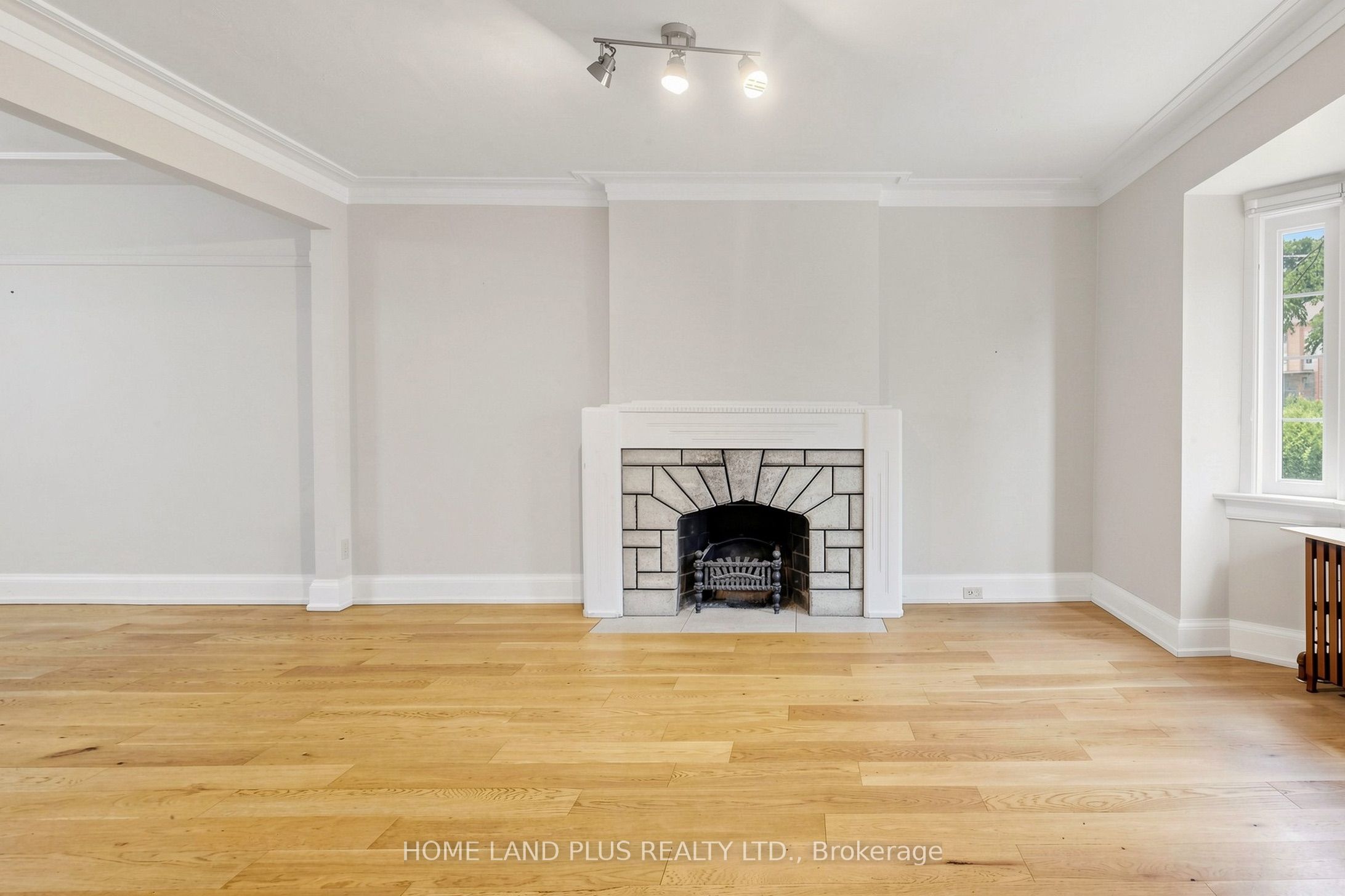 57 Mann Avenue, Toronto, ON M4S 2Y2 photo 5