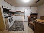19 Sepia Drive Bsmt, Toronto, ON M2J 4E9 photo 3