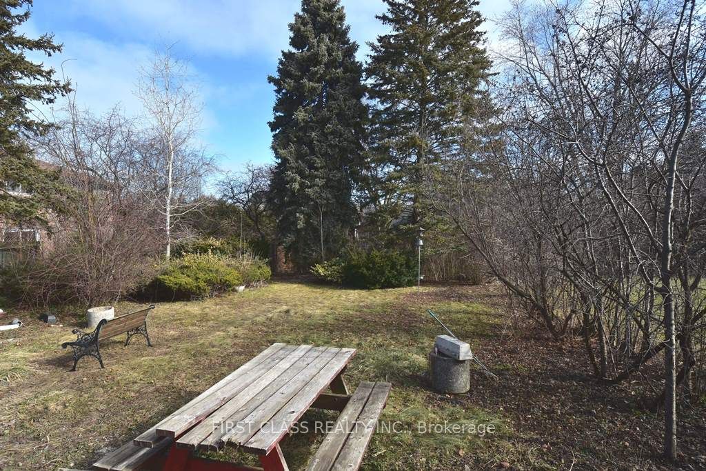 319 Senlac Road Back, Toronto, ON M2R 1R2 photo 3