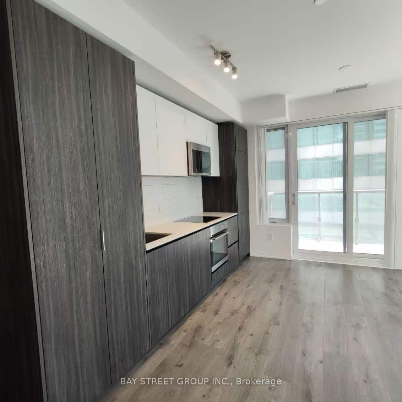 8 Widmer Street 1612, Toronto, ON M5V 0W6 photo 3