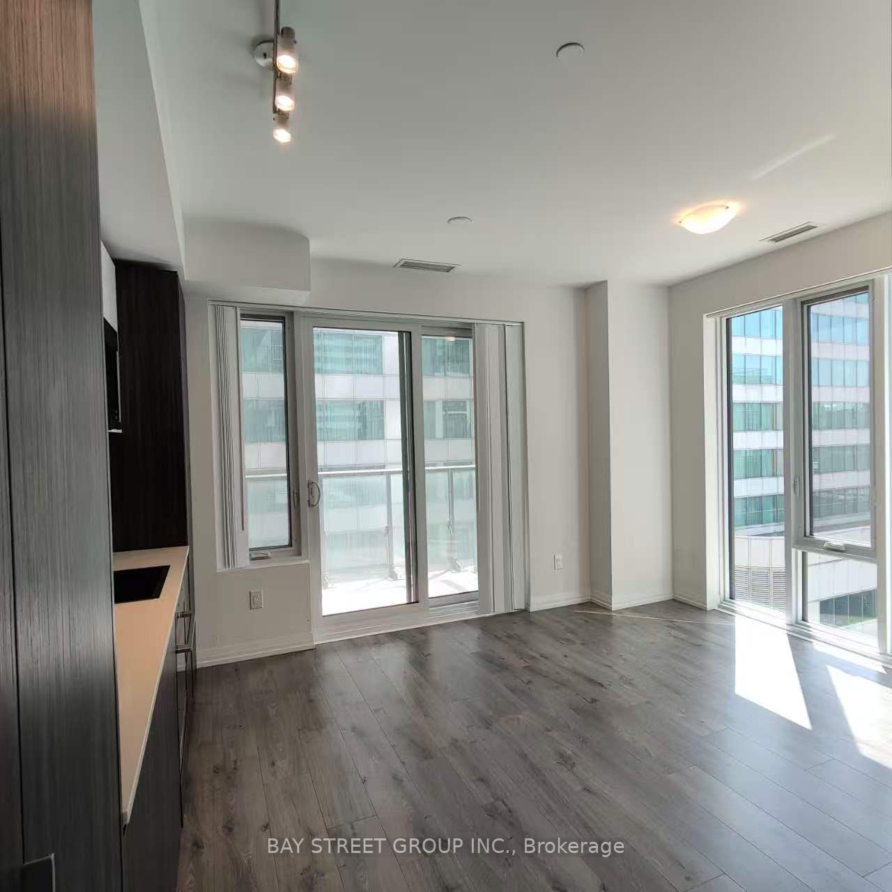 8 Widmer Street 1612, Toronto, ON M5V 0W6 photo 4