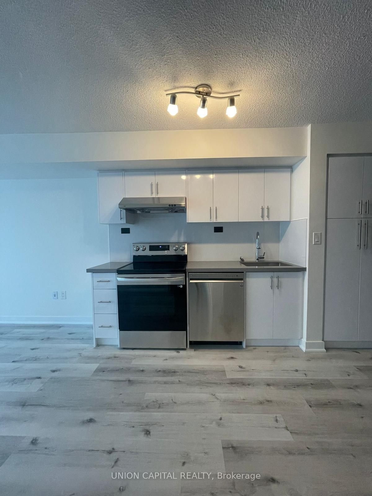 151 Dan Leckie Way 1510, Toronto, ON M5V 4B2 photo 3