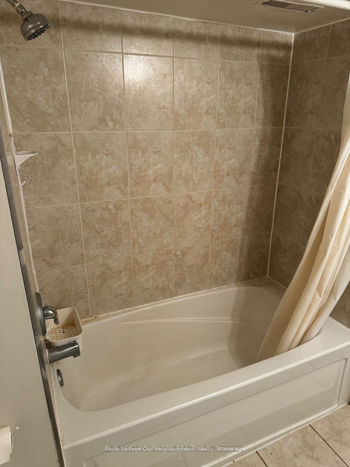 105 Poyntz Avenue BSMT, Toronto, ON M2N 1J3 photo 3