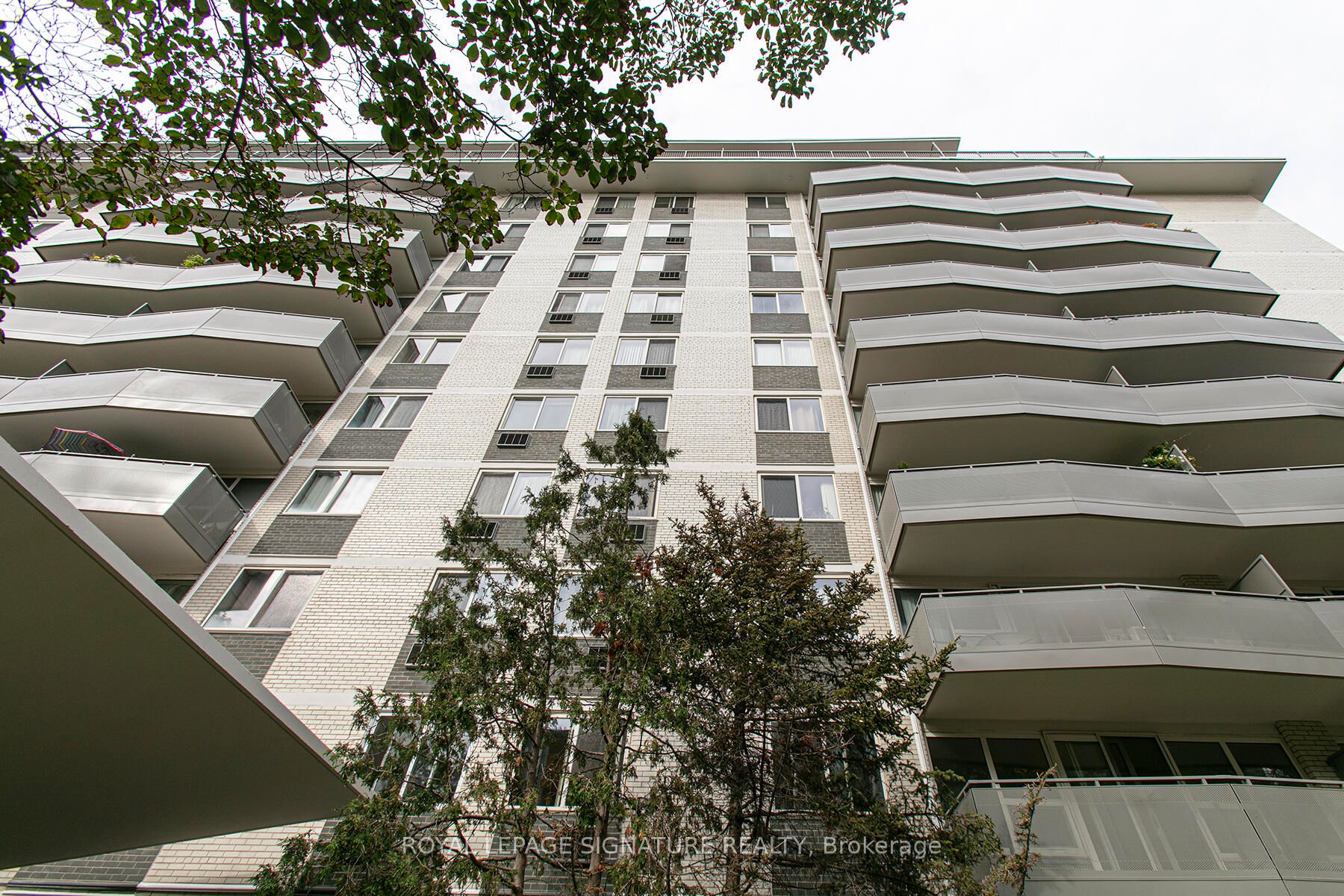 10 Shallmar Boulevard 201, Toronto, ON M5N 1J4 photo 3