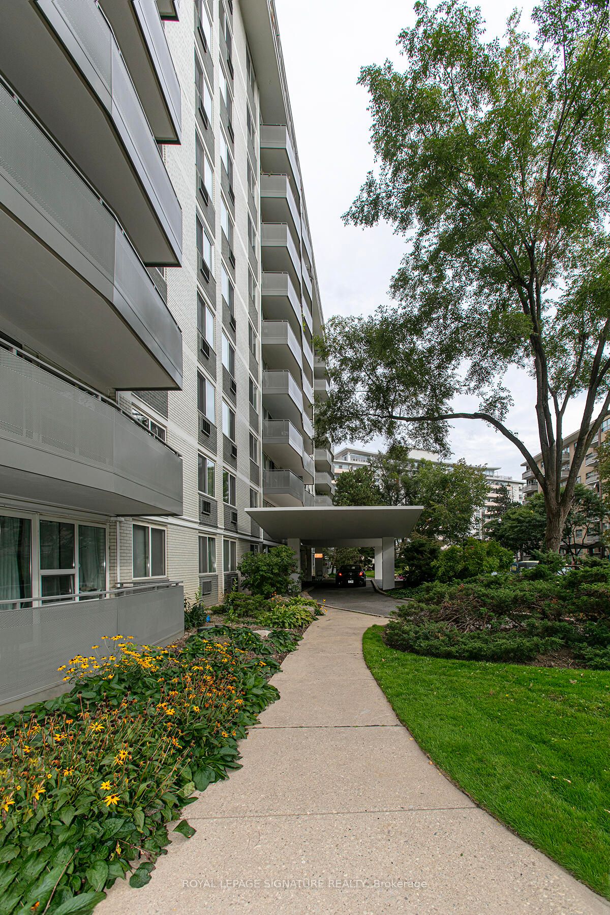 10 Shallmar Boulevard 201, Toronto, ON M5N 1J4 photo 4