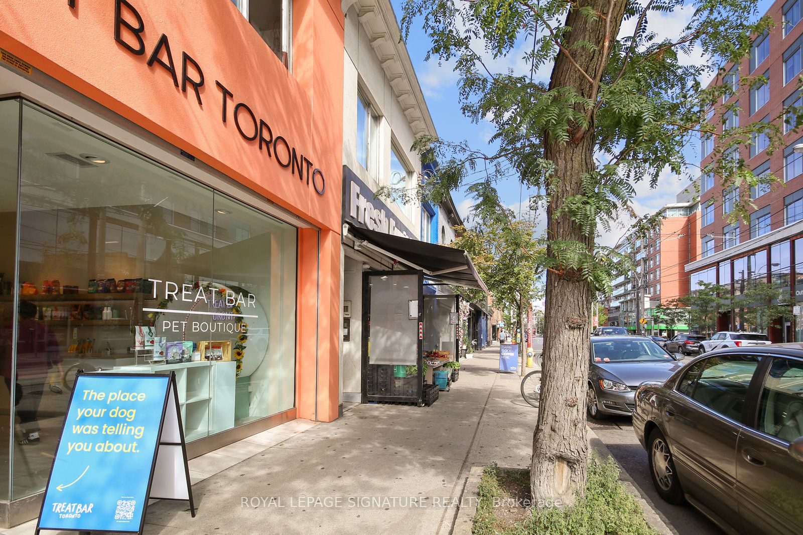 1048 Queen Street W Upper, Toronto, ON M6J 1H7 photo 3