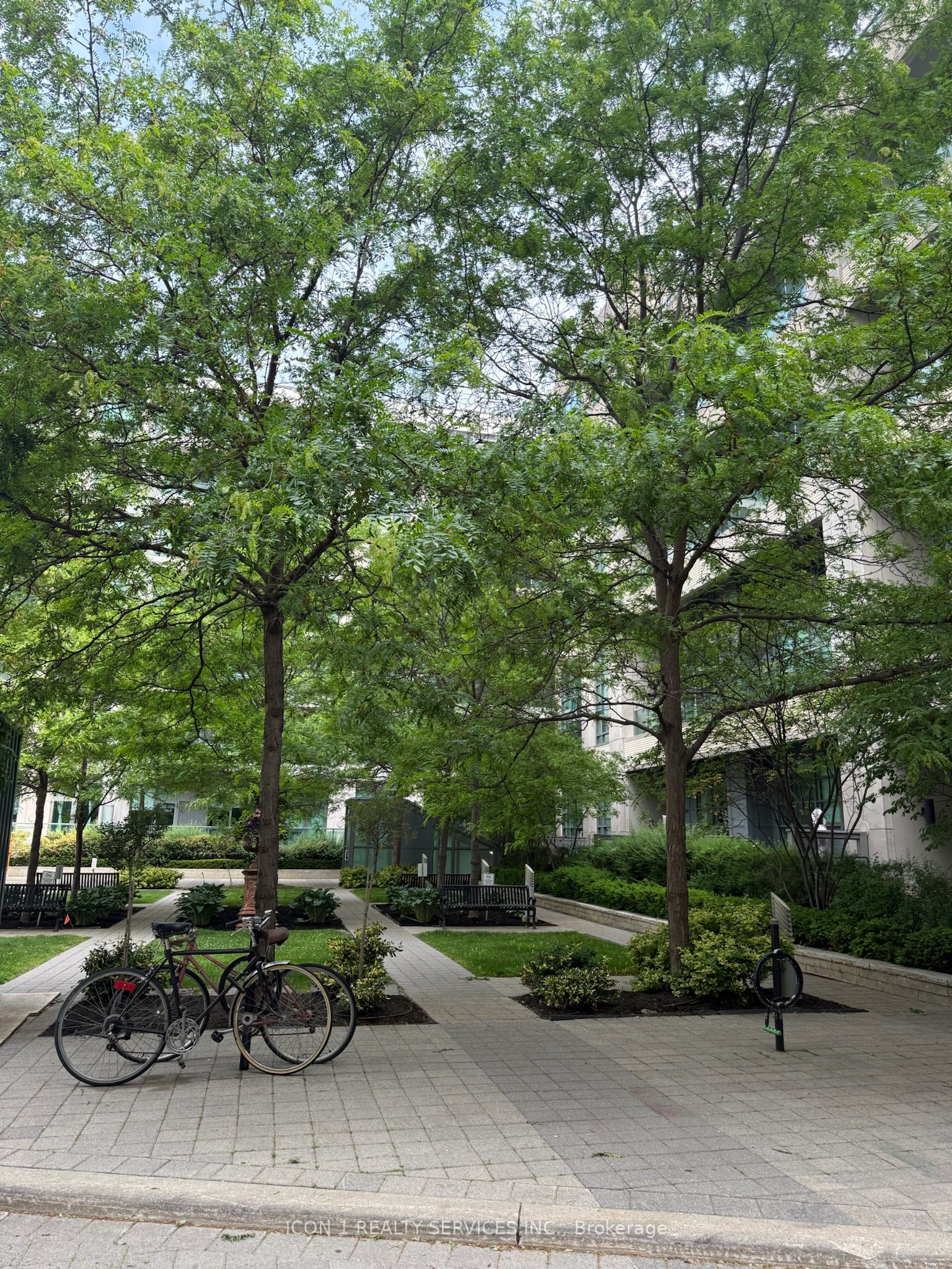 380 Macpherson Avenue 313, Toronto, ON M4V 3E3 photo 3