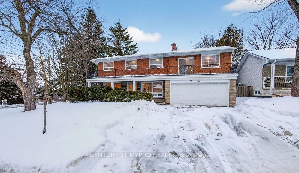 291 Newton Drive, Toronto, ON M2M 2P5