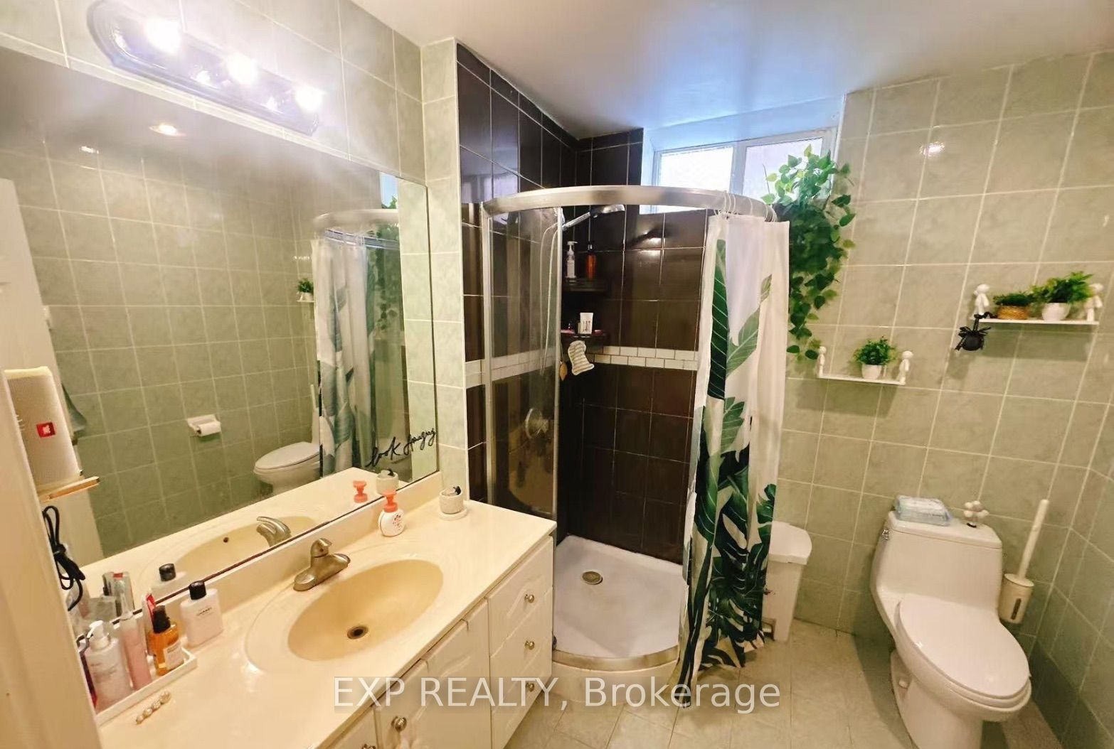 123 Steeles Avenue E Basement, Toronto, ON M2M 3Y5 photo 3