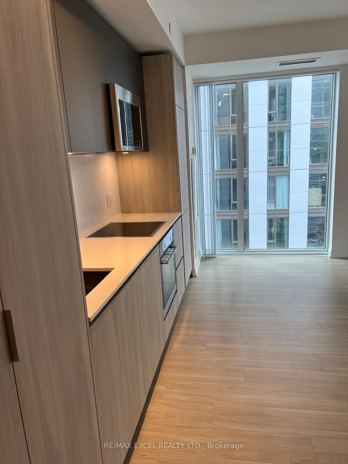 8 Widmer Street 4305, Toronto, ON M5V 0W6 photo 3