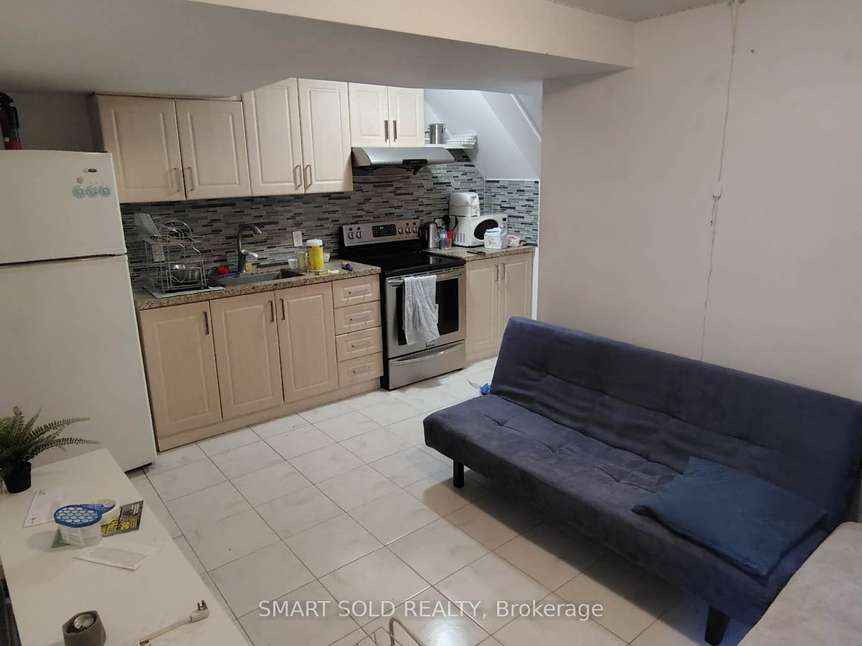 Lower 66 Bellevue Avenue, Toronto, ON M5T 2N4
