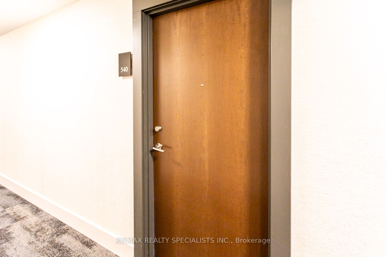 38 Iannuzzi Street 540, Toronto, ON M5V 0S2 photo 4