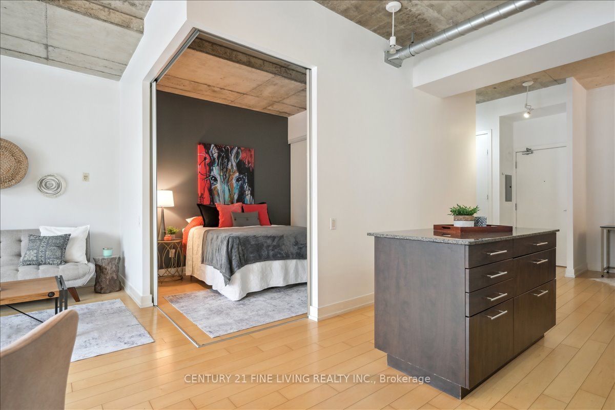 66 Portland Street 211, Toronto, ON M5V 2M6 photo 4