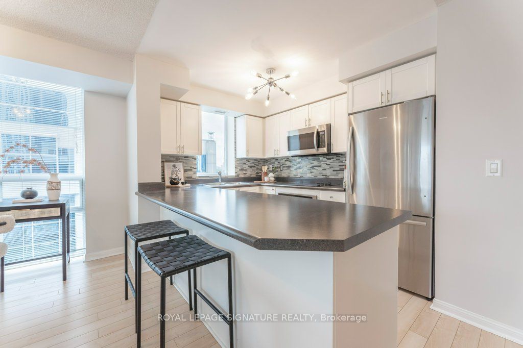 18 Stafford Street 1013, Toronto, ON M5V 3W4 photo 3