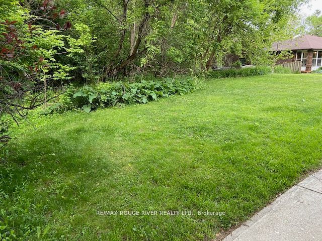 72 Meadowvale Road, Toronto, ON M1C 1S1 photo 5