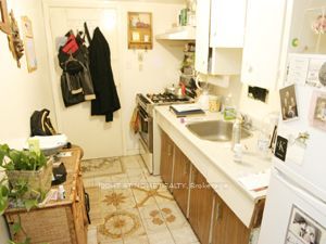 685 Greenwood Avenue BSMT, Toronto, ON M4J 4B6 photo 3
