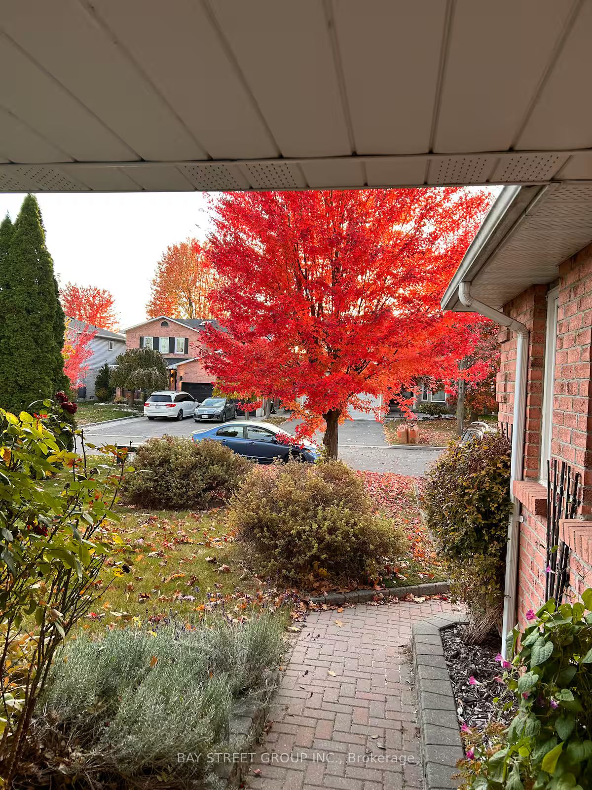 27 Gladiola Court Main and 2nd floor, Whitby, ON L1R 1N8 photo 3