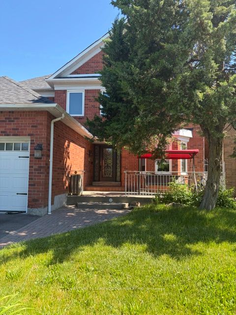 11746 Sheppard Avenue E Basement, Toronto, ON M1B 3W4