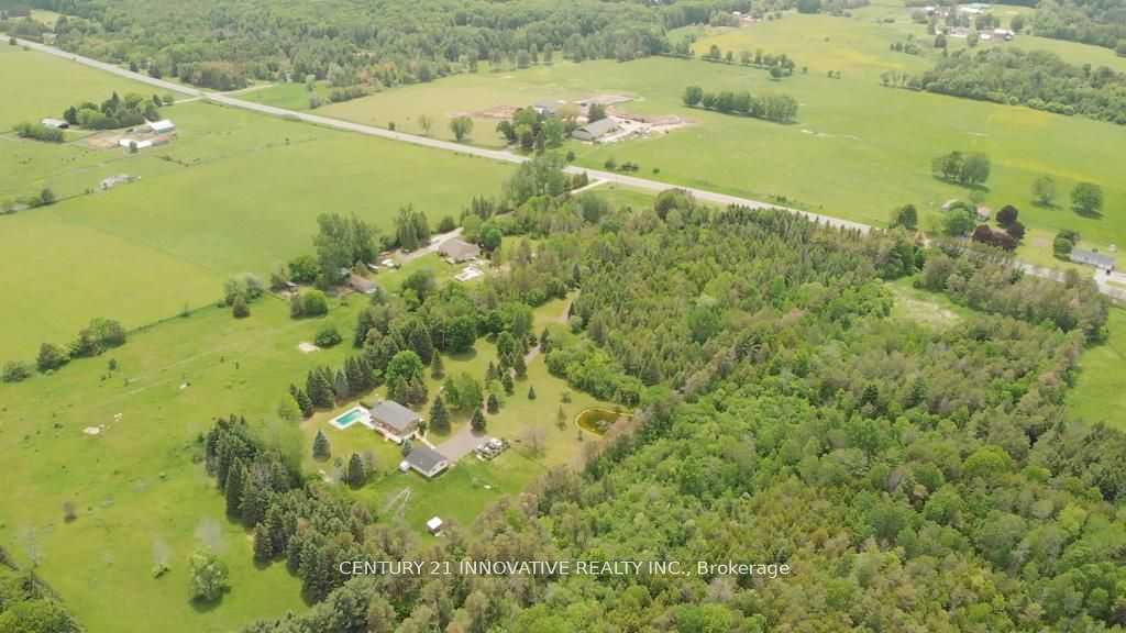 3683 Newtonville Road, Clarington, ON L0A 1J0 photo 3