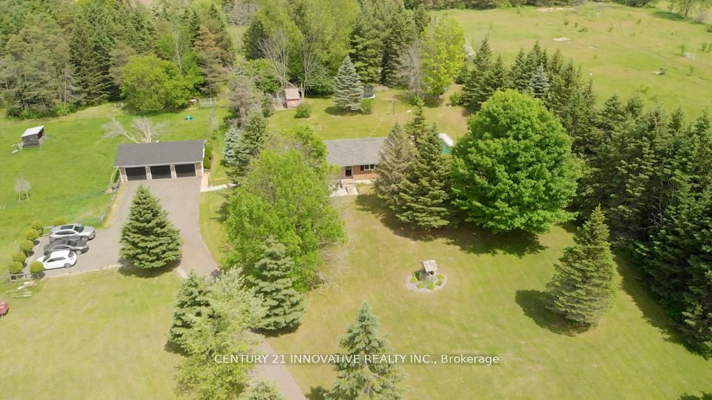 3683 Newtonville Road, Clarington, ON L0A 1J0 photo 5