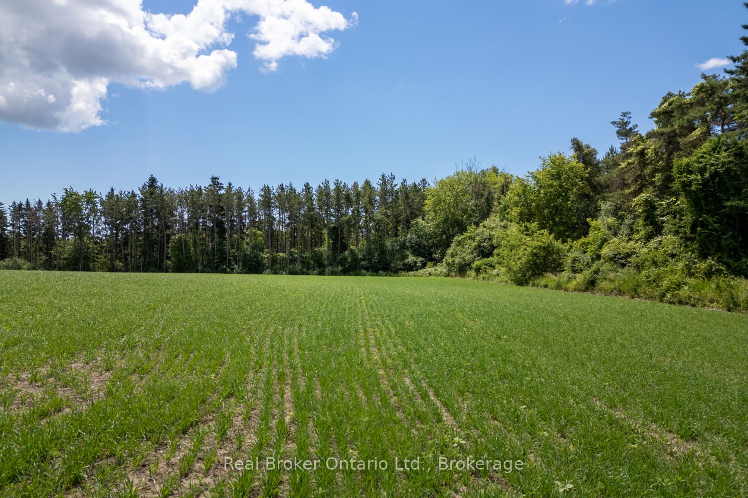 4206 Middle Road, Clarington, ON L1C 3K2 photo 2