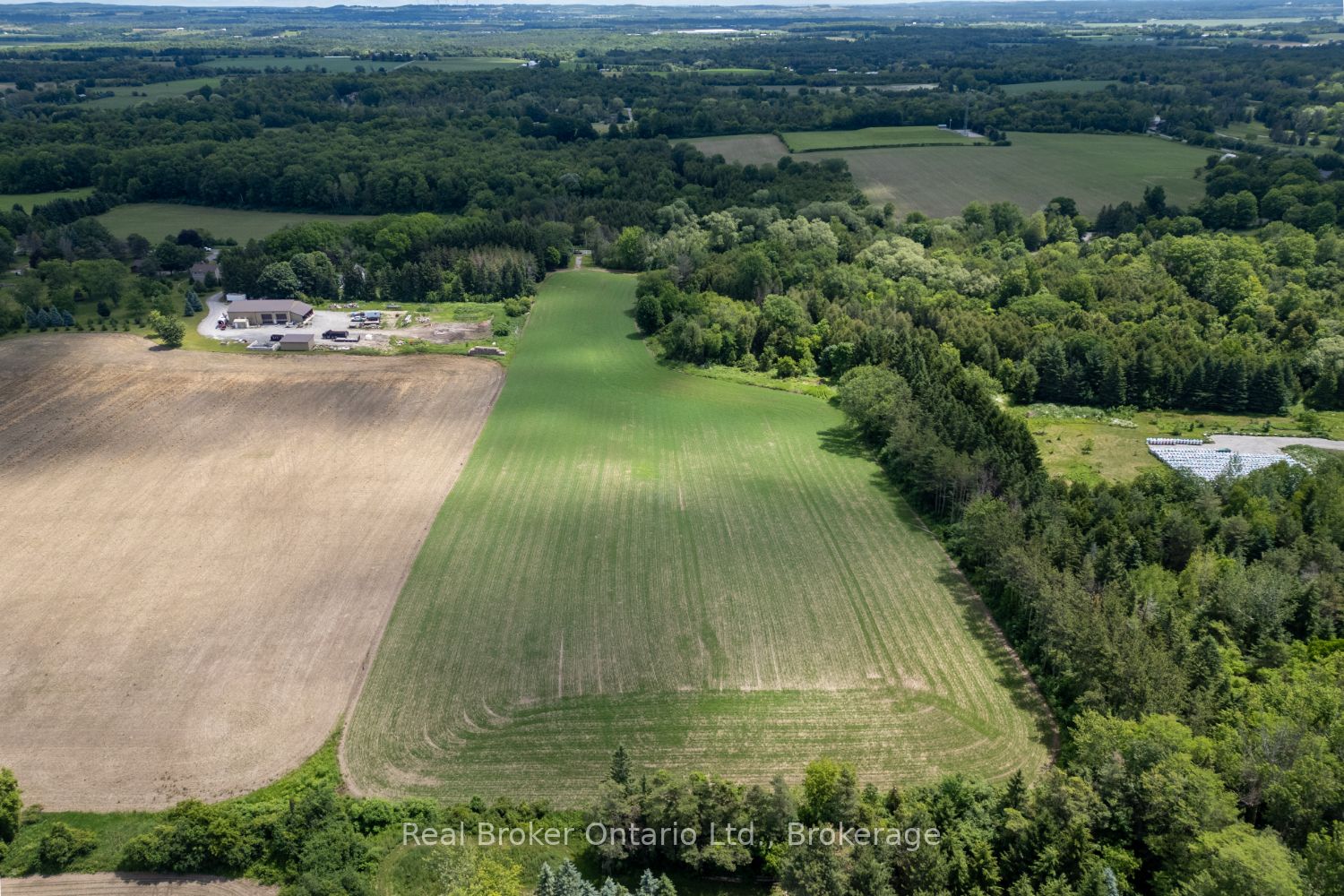 4206 Middle Road, Clarington, ON L1C 3K2 photo 3