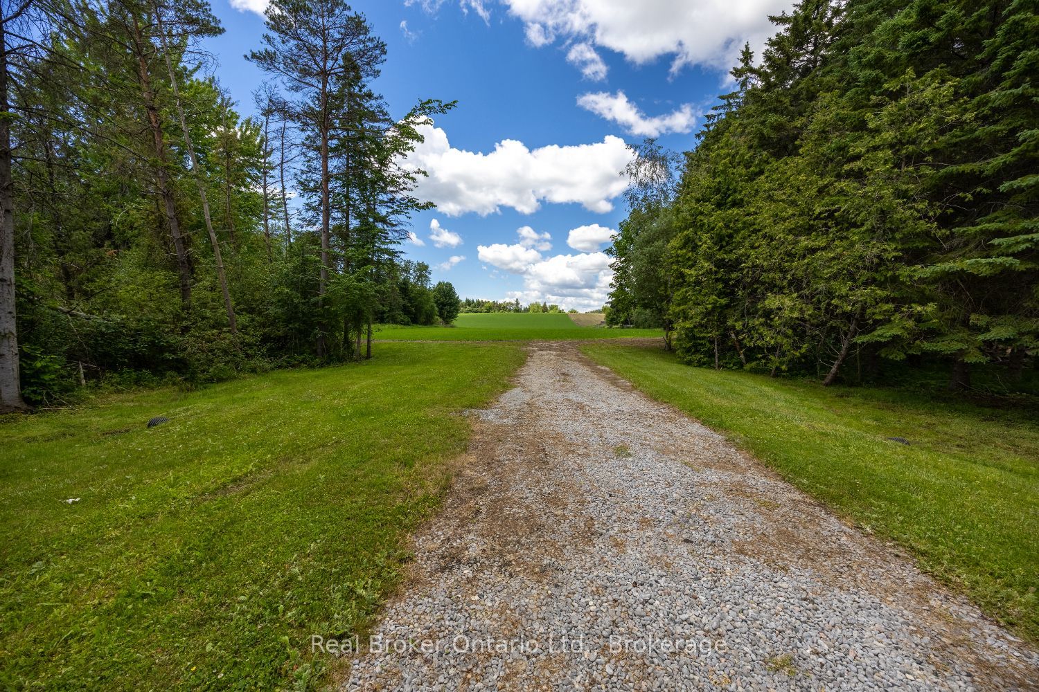 4206 Middle Road, Clarington, ON L1C 3K2 photo 5