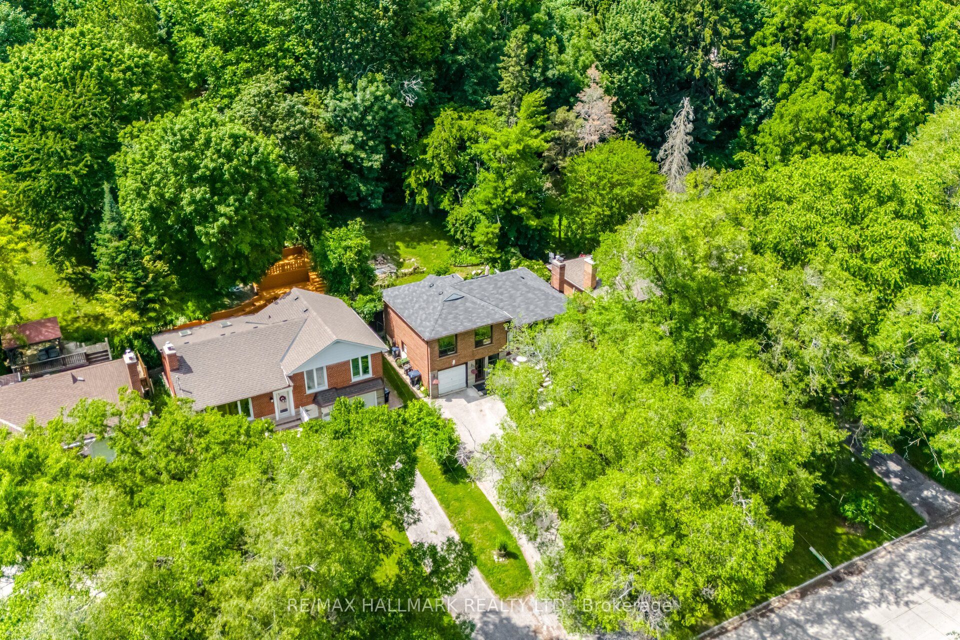 42 Catalina Drive, Toronto, ON M1M 1K6 photo 4