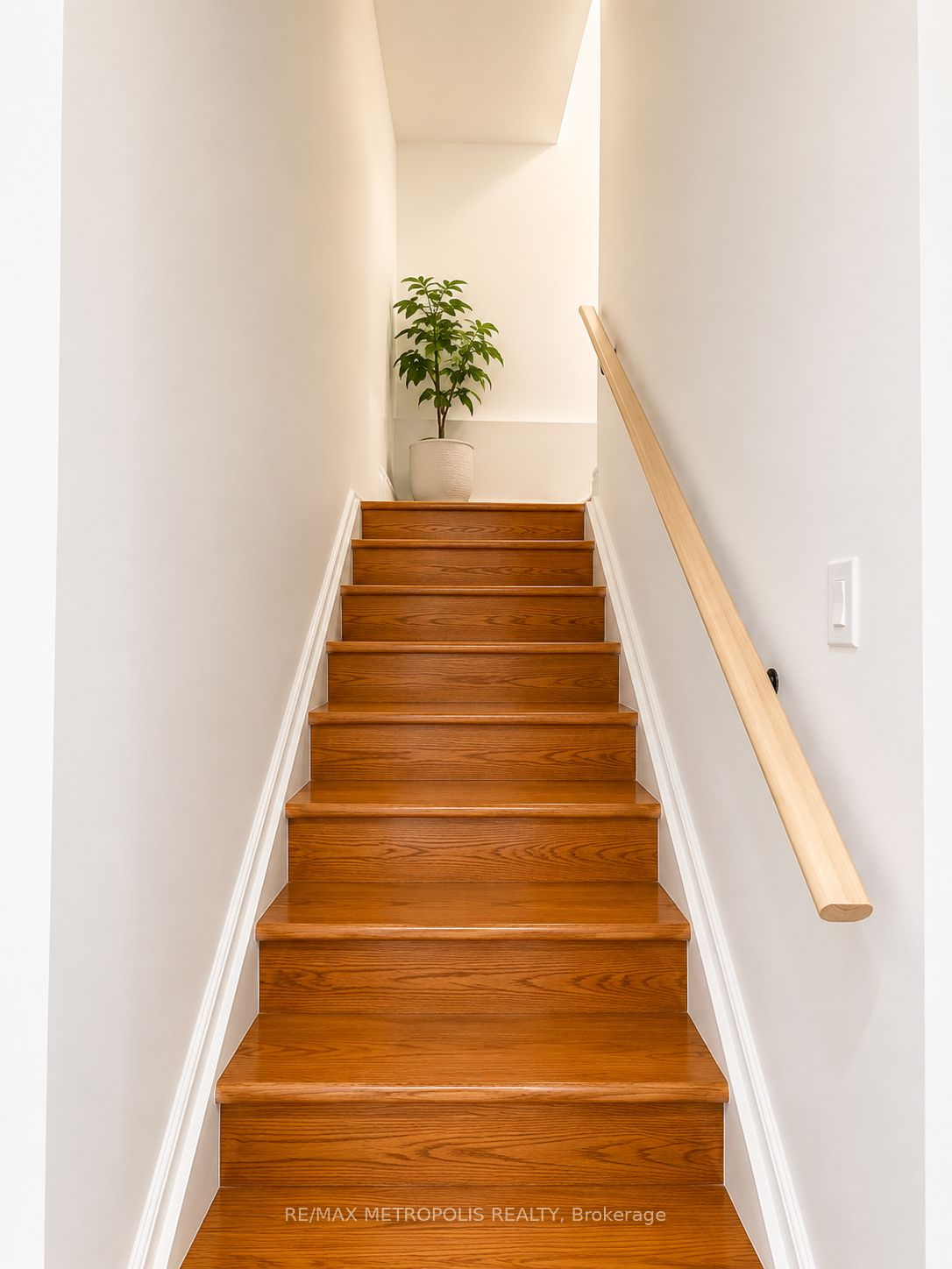 81 Trumpeter Street BSMT, Toronto, ON M1B 6H1 photo 3