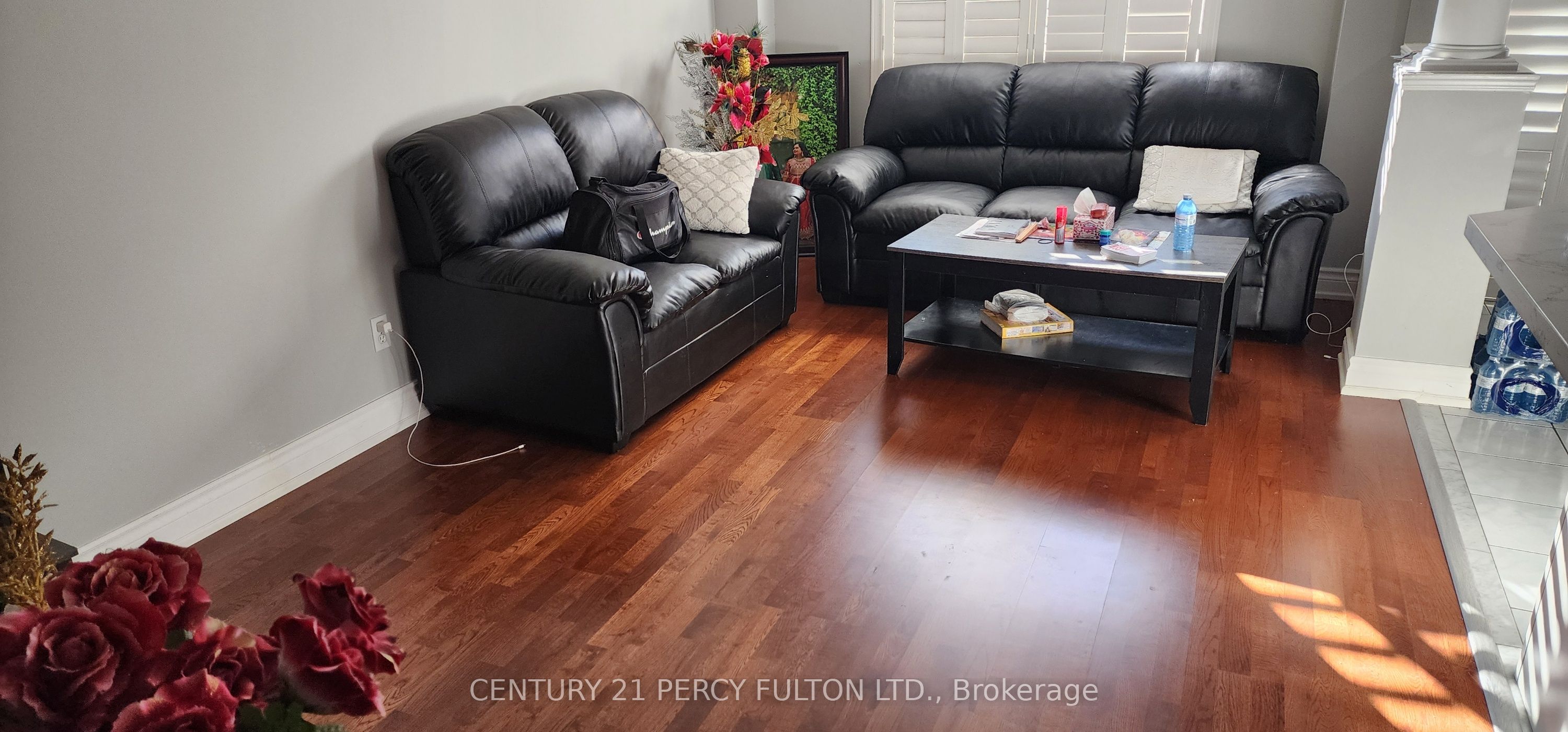 14 Flatfield Terrace Main, Toronto, ON M1B 6B9 photo 2