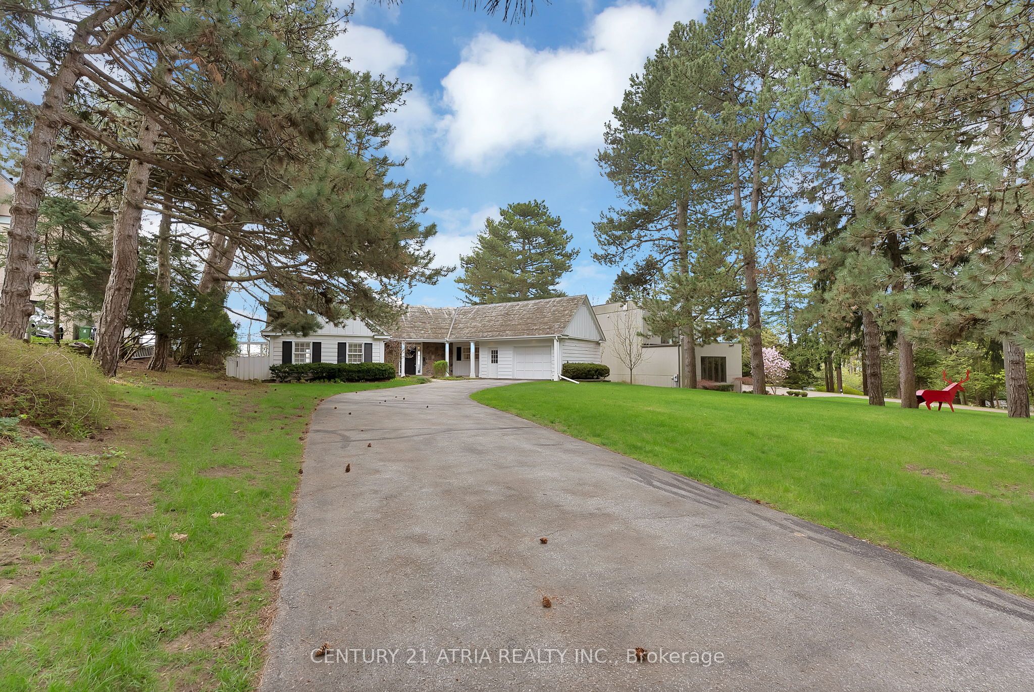 5 Hill Crescent, Toronto, ON M1M 1H7 photo 3