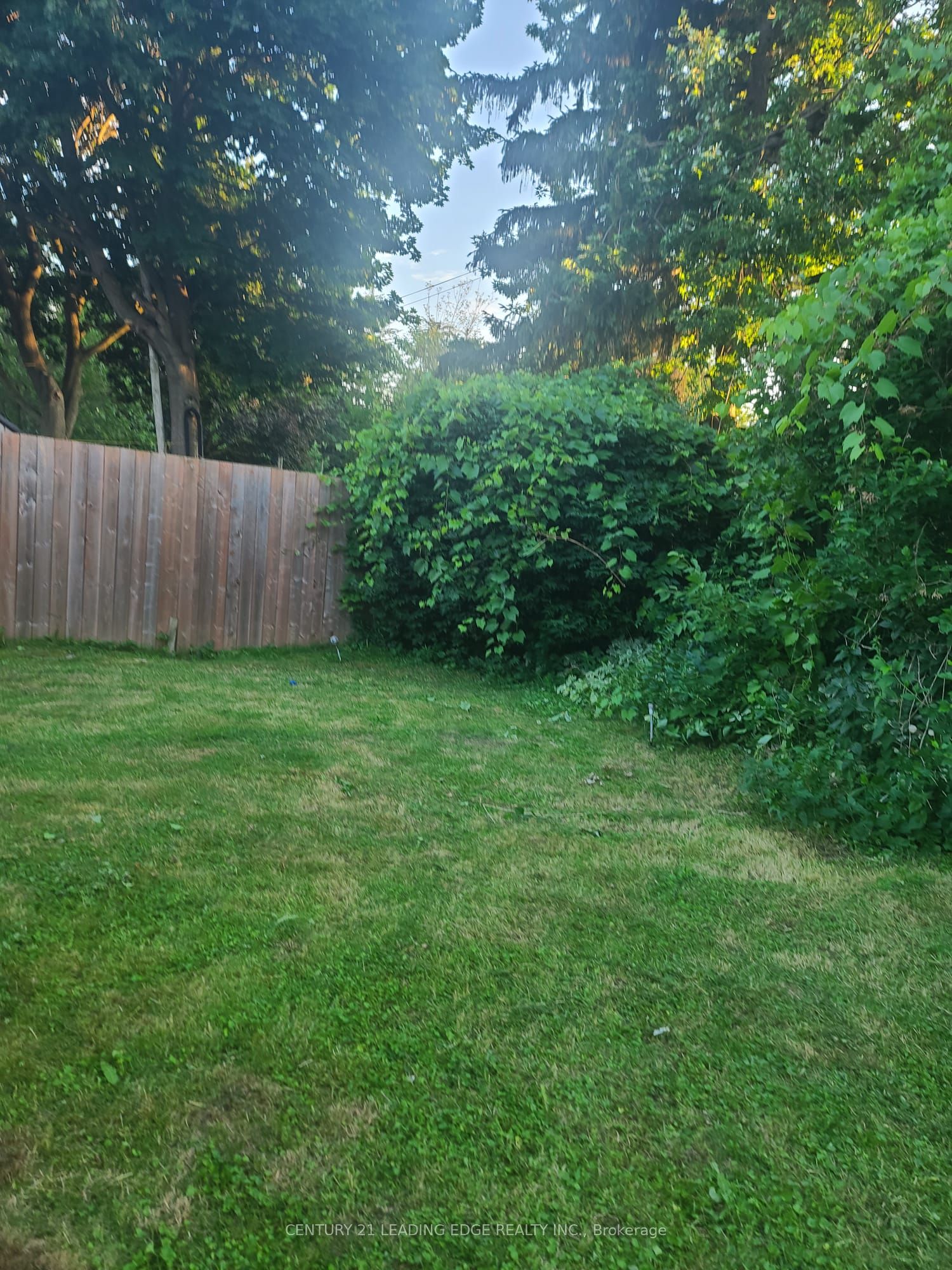 108 Rochman Boulevard Bsmt, Toronto, ON M1H 1S2 photo 2