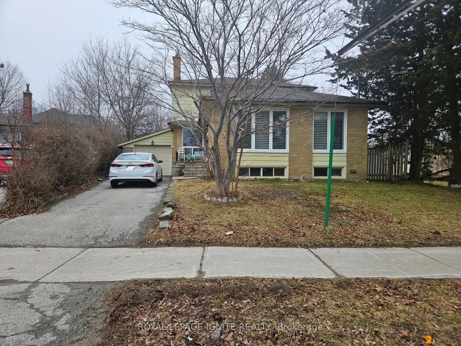 31 Benfrisco Crescent Bsmnt, Toronto, ON M1H 1N2