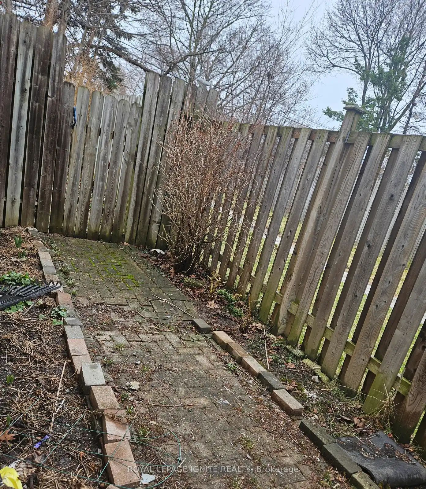 31 Benfrisco Crescent Bsmnt, Toronto, ON M1H 1N2 photo 3