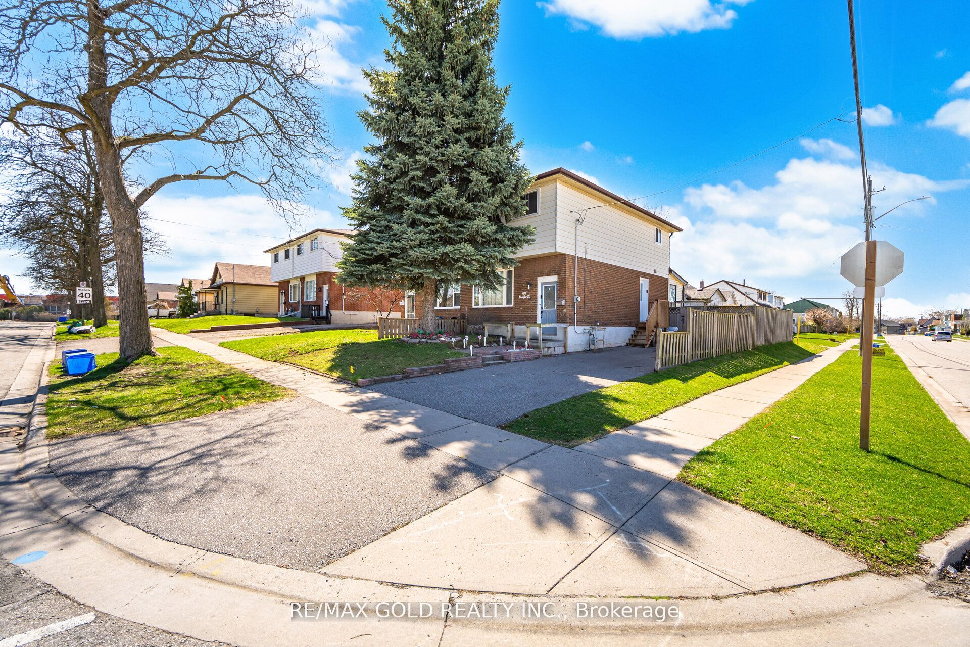 784 Douglas Street, Oshawa, ON L1H 5C9 photo 3
