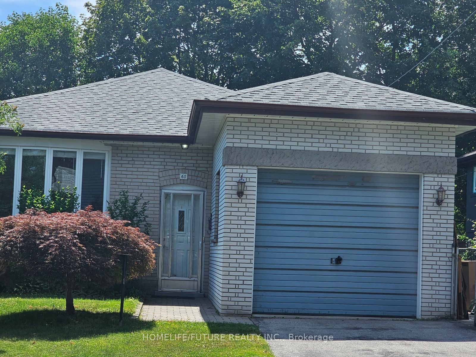 61 Hollyhedge Drive, Toronto, ON M1J 1X2 photo 2