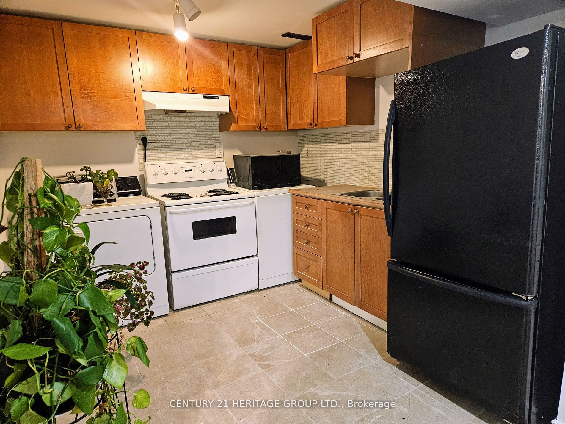 6 Dingley Court Bsmt, Ajax, ON L1S 6B6 photo 4