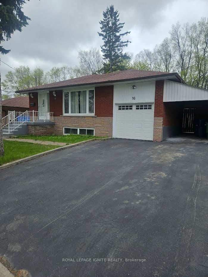 16 Cicerella Crescent Main, Toronto, ON M1K 5B5