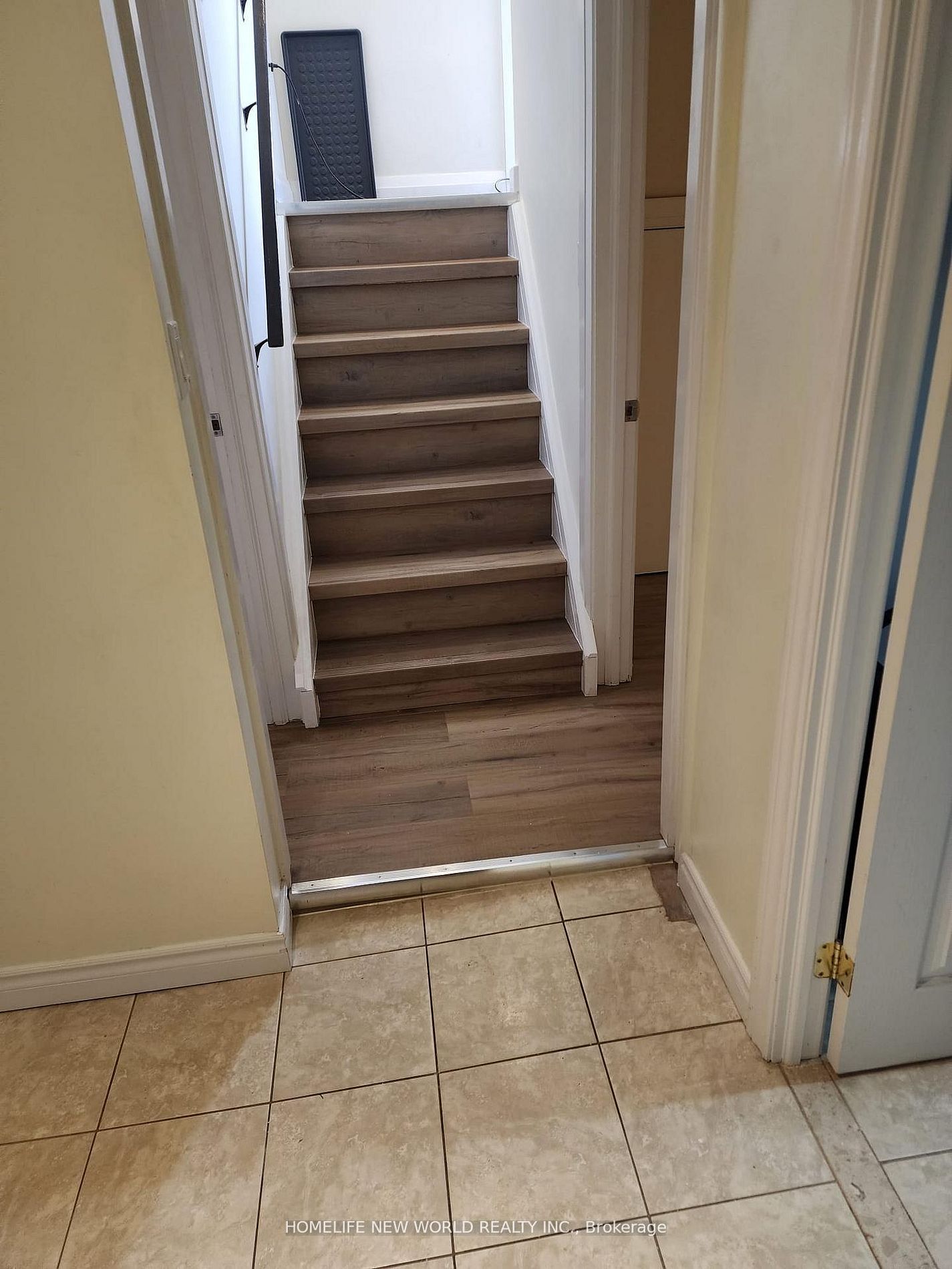 6 Merryfield Drive Bsmt, Toronto, ON M1P 1J1 photo 5