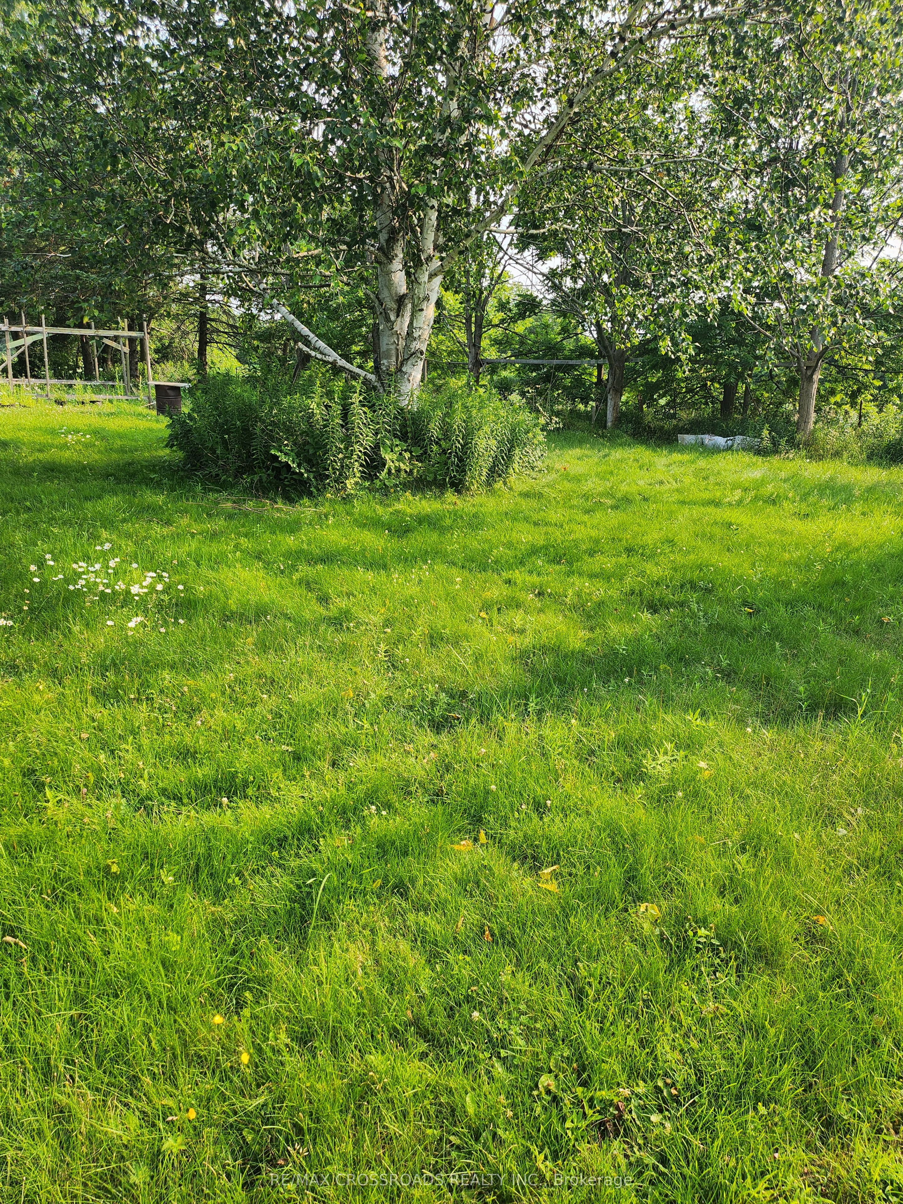 3837 Highway 2 (Part 2) Road, Clarington, ON L1B 0R2 photo 4
